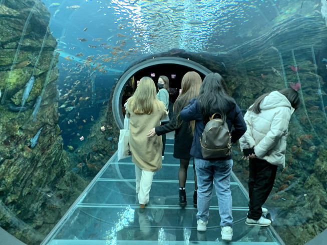 Wisata Bis2